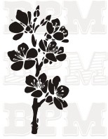 /album/fotogaleria-kvety-stromy/kvety-38-jpg/